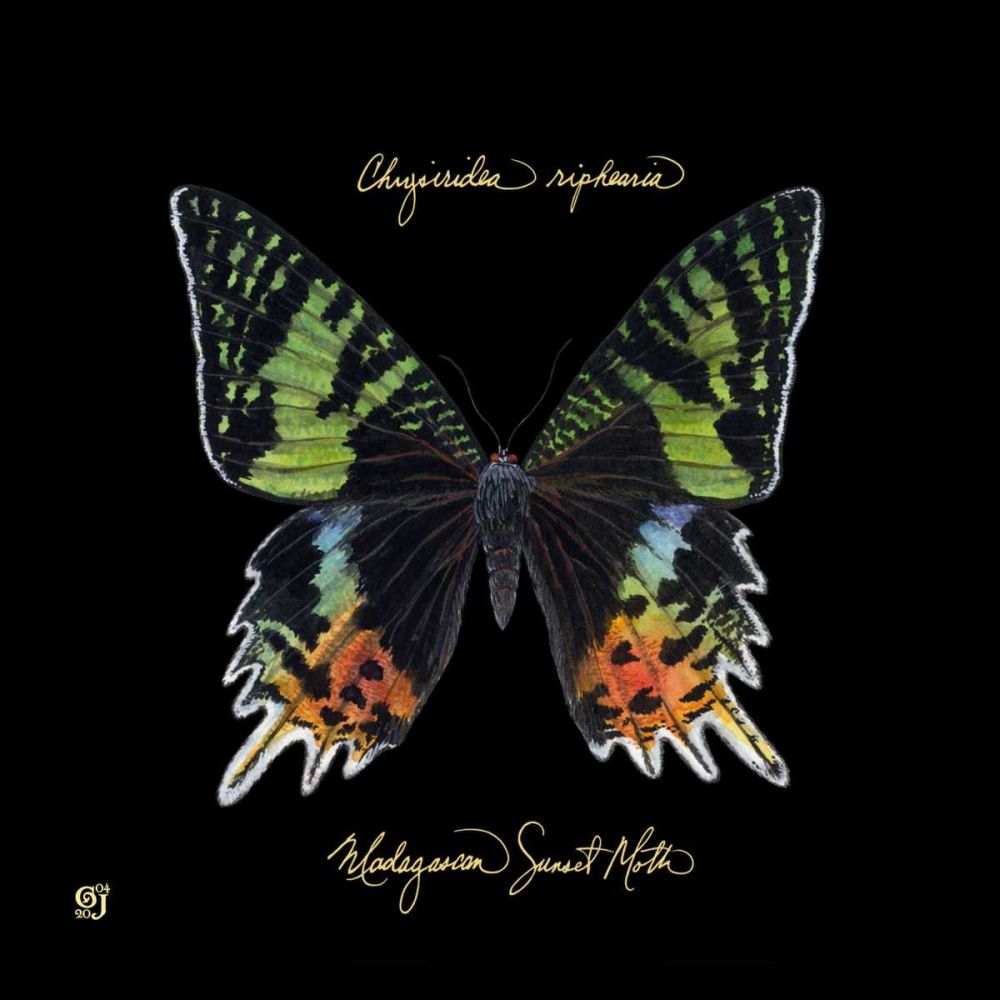 Similar wall art painting: 237941