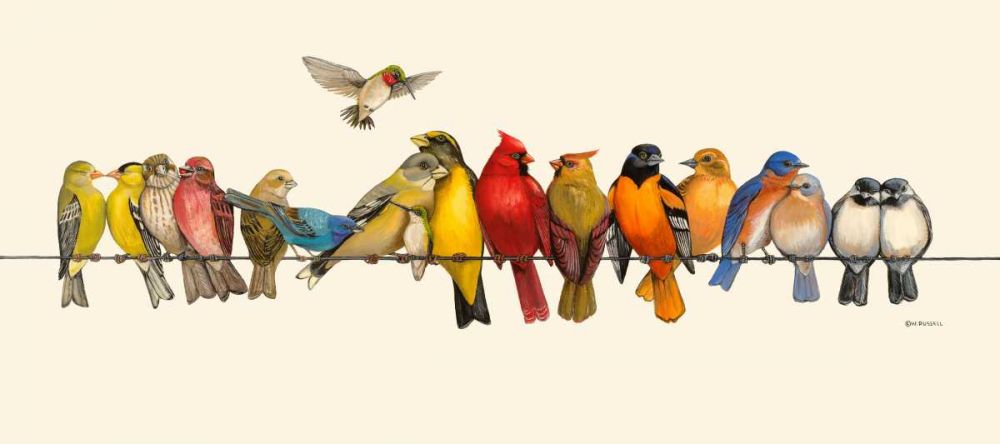 Wall Art Painting id:237975, Name: Bird Menagerie I, Artist: Russell, Wendy