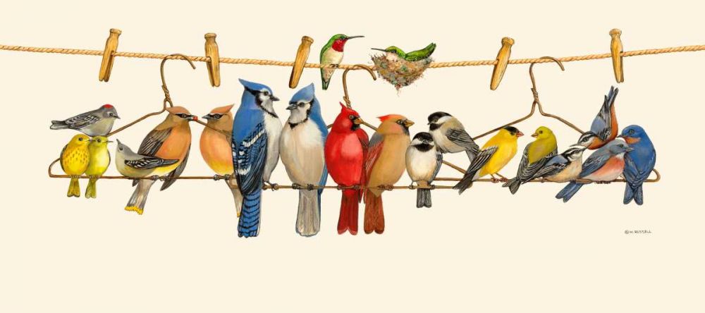 Wall art: Bird Menagerie II, by Russell, Wendy