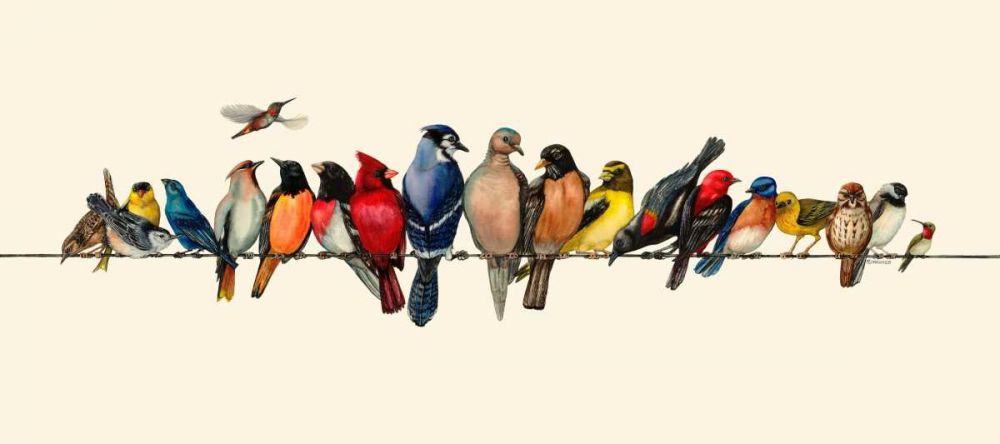 Wall Art Painting id:237977, Name: Bird Menagerie III, Artist: Russell, Wendy