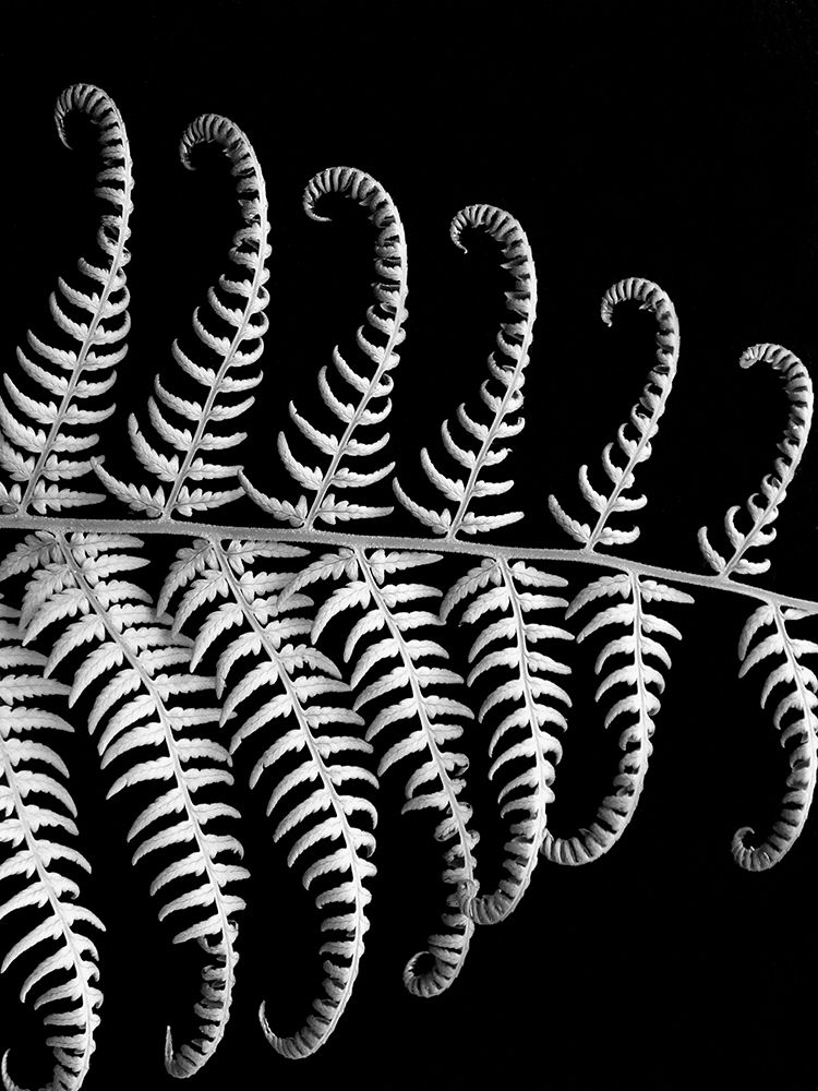 Similar wall art painting: 194356