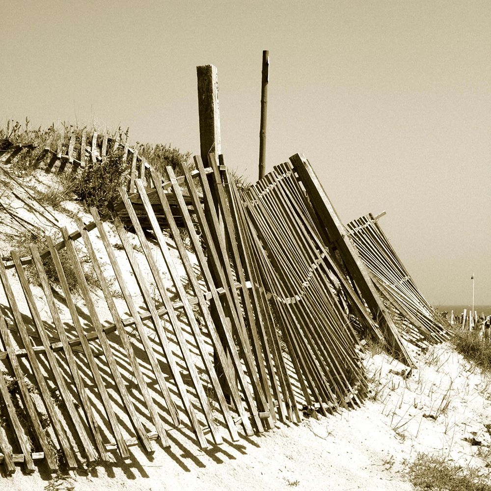 Wall Art Painting id:221282, Name: Fences in the Sand I, Artist: Bay, Noah