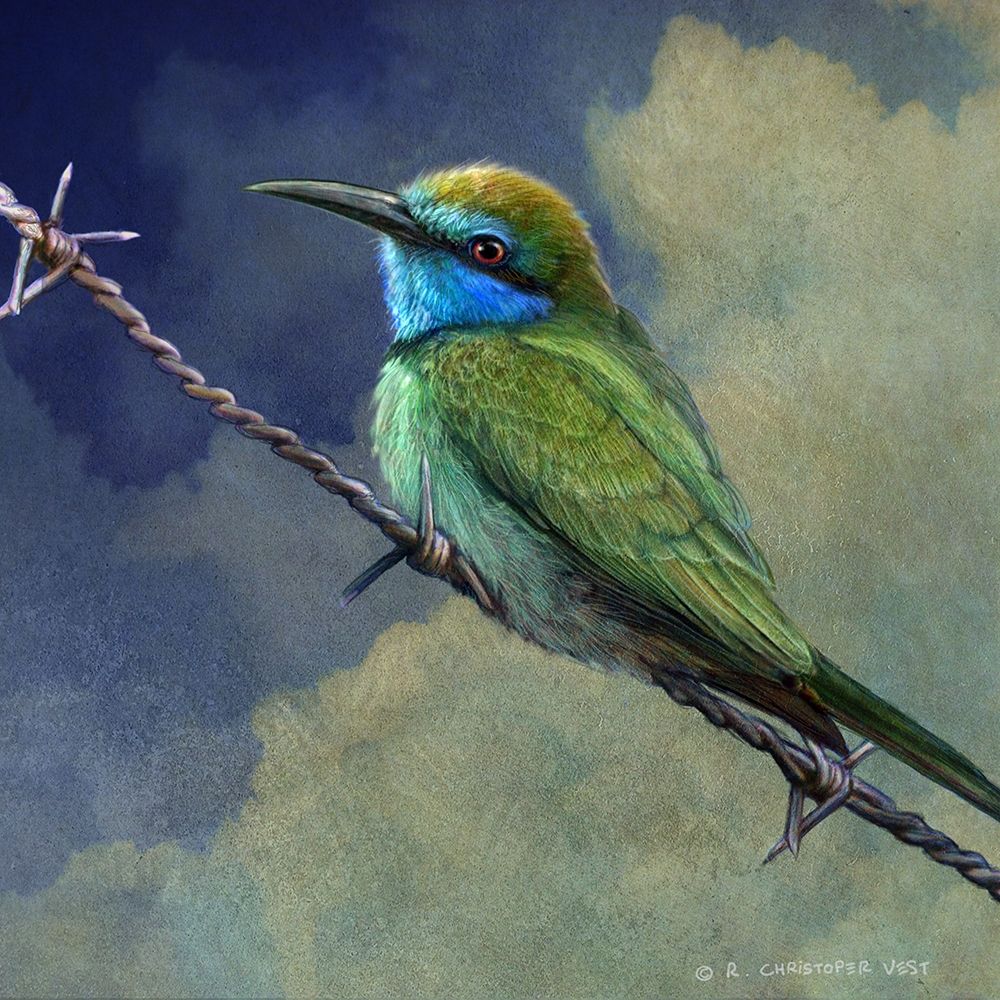 Wall Art Painting id:227035, Name: Bee Eater, Artist: Vest, Chris