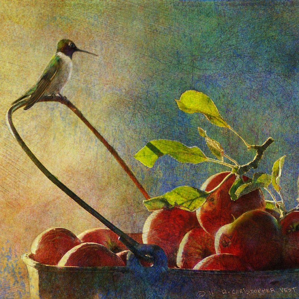 Wall Art Painting id:227041, Name: Apples and Hummer, Artist: Vest, Chris