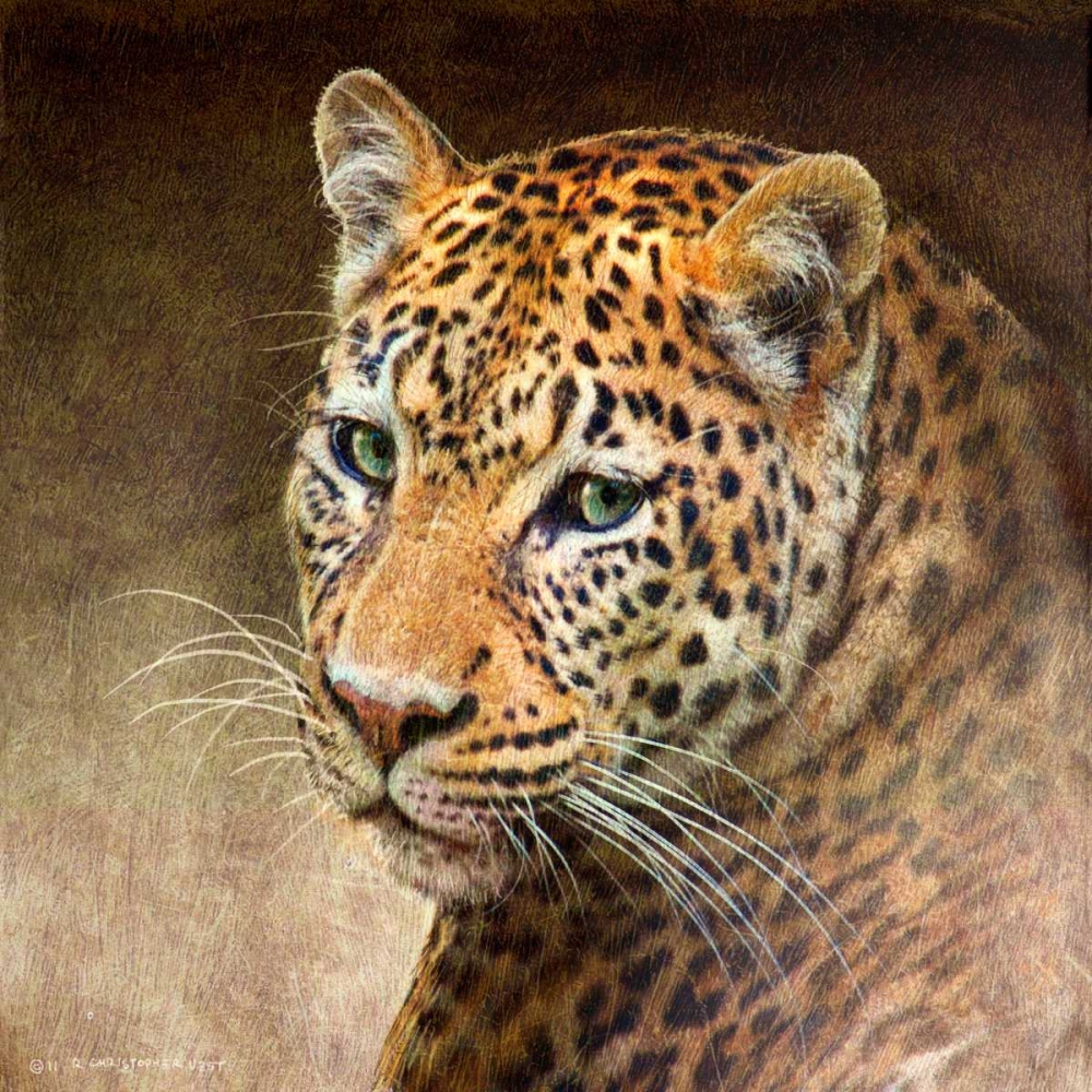Wall art: Leopard, by Vest, Chris