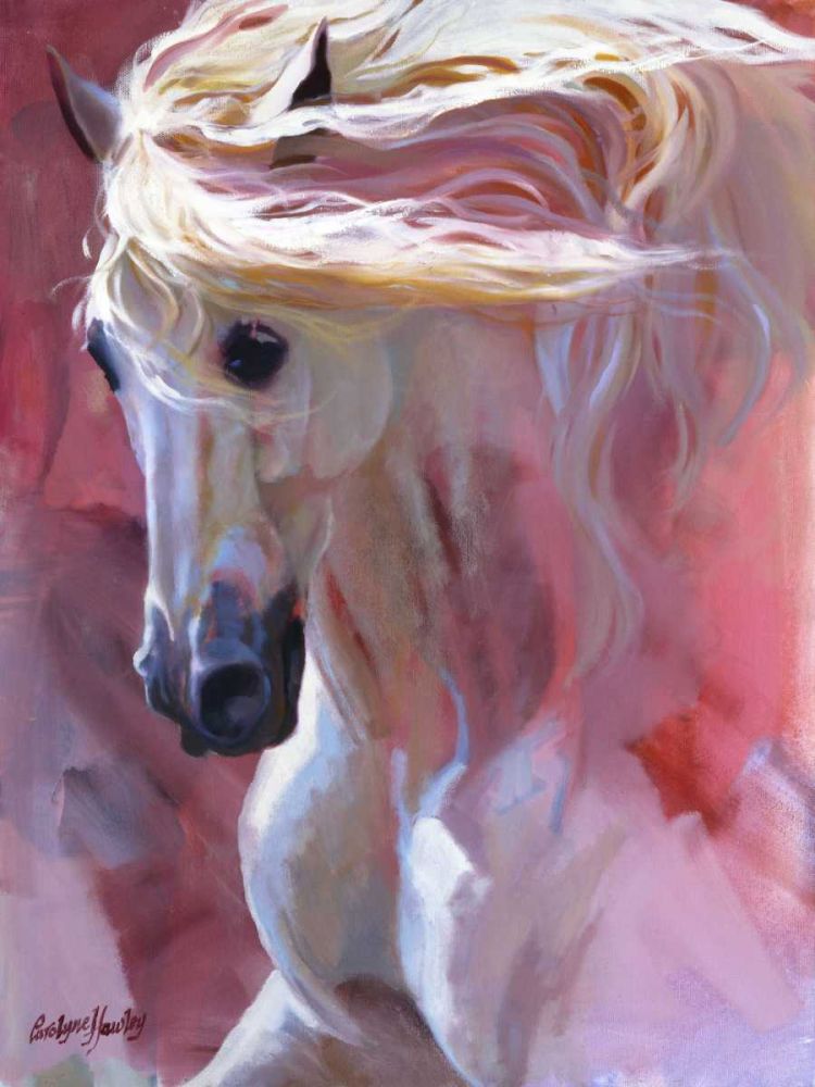 Wall art: Dream Dancer, by Hawley, Carolyne