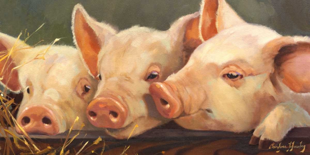 Wall Art Painting id:66292, Name: Pig Heaven, Artist: Hawley, Carolyne