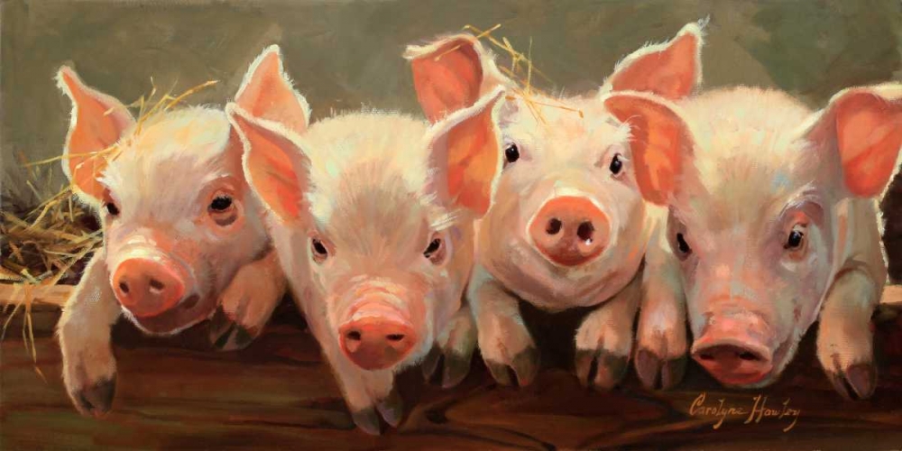 Wall Art Painting id:66293, Name: The Big Squeeze, Artist: Hawley, Carolyne