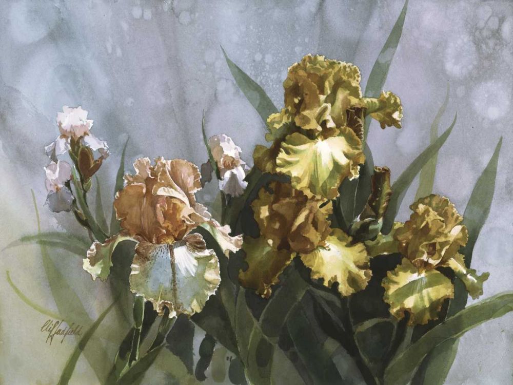 Art Print: Hadfield Irises I