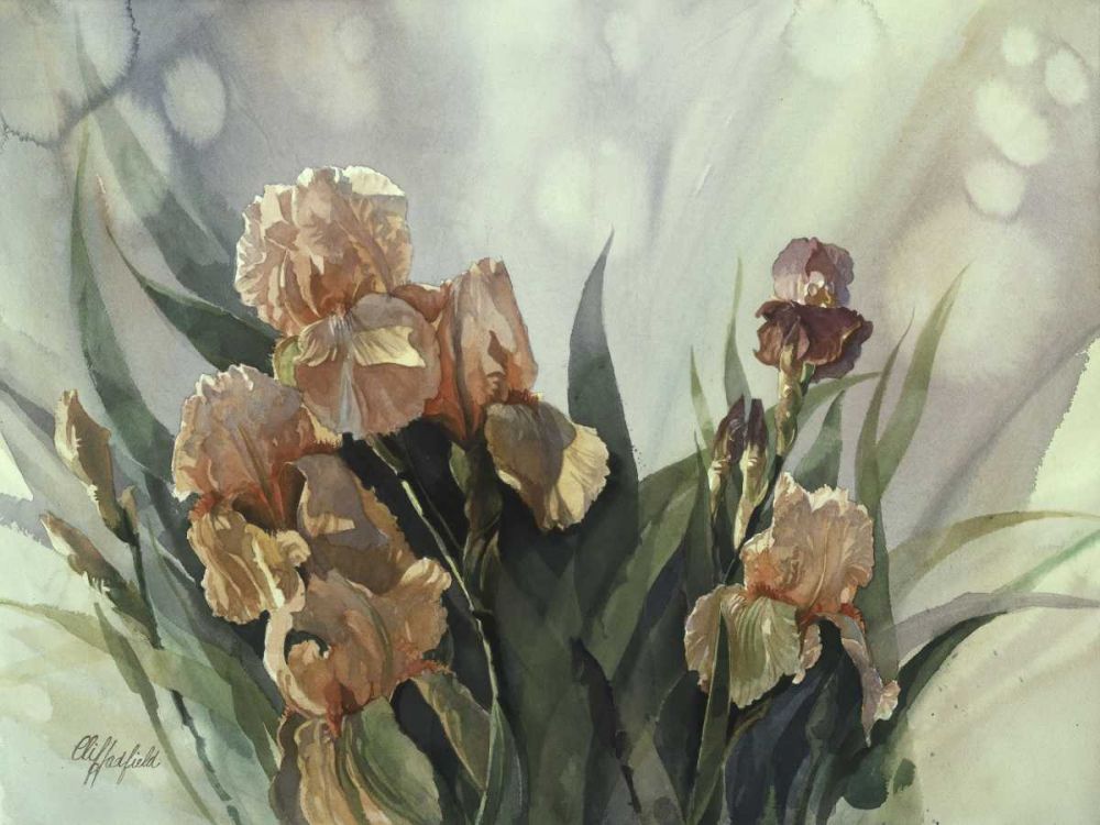 Art Print: Hadfield Irises II