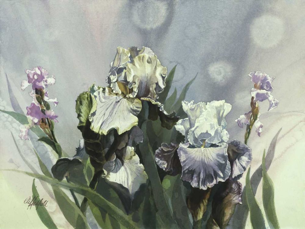 Art Print: Hadfield Irises III