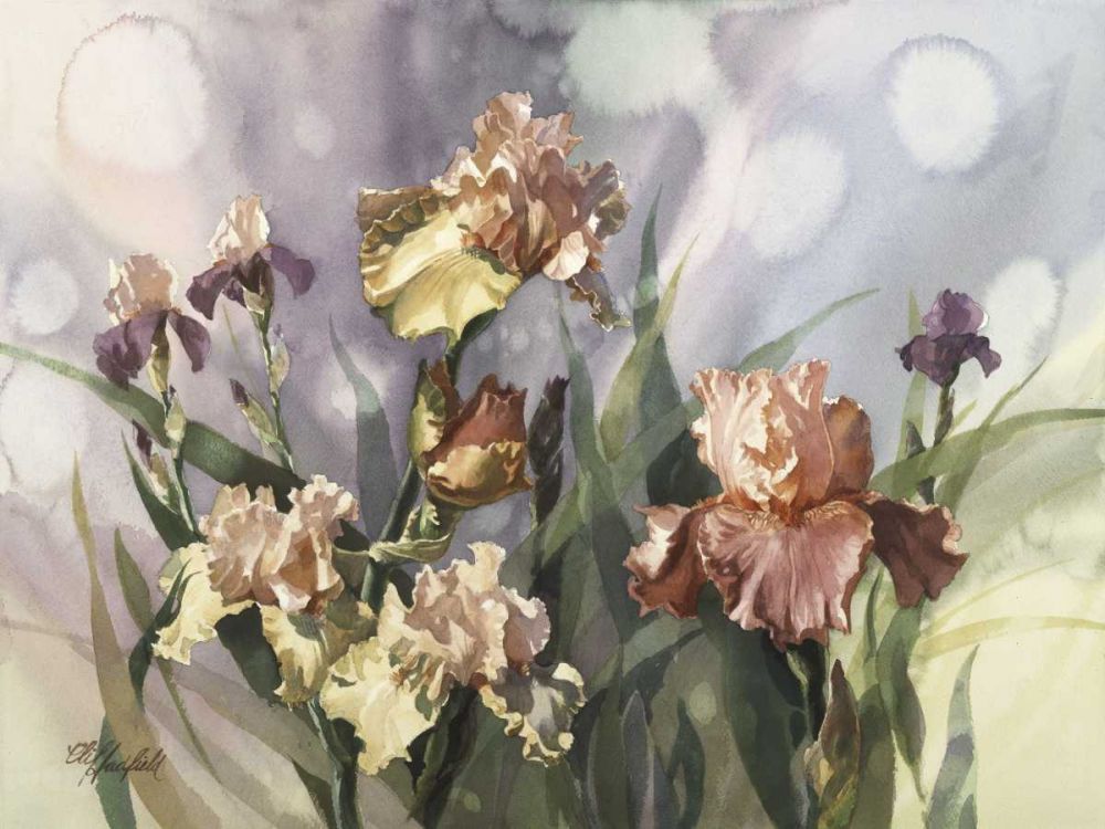 Art Print: Hadfield Irises V