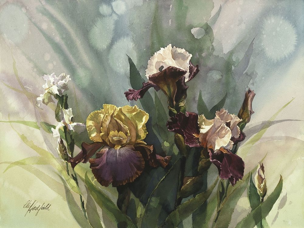 Art Print: Hadfield Irises VI