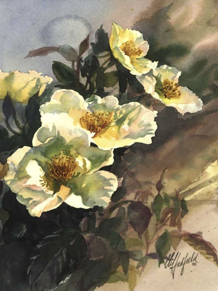Art Print: Hadfield Roses I