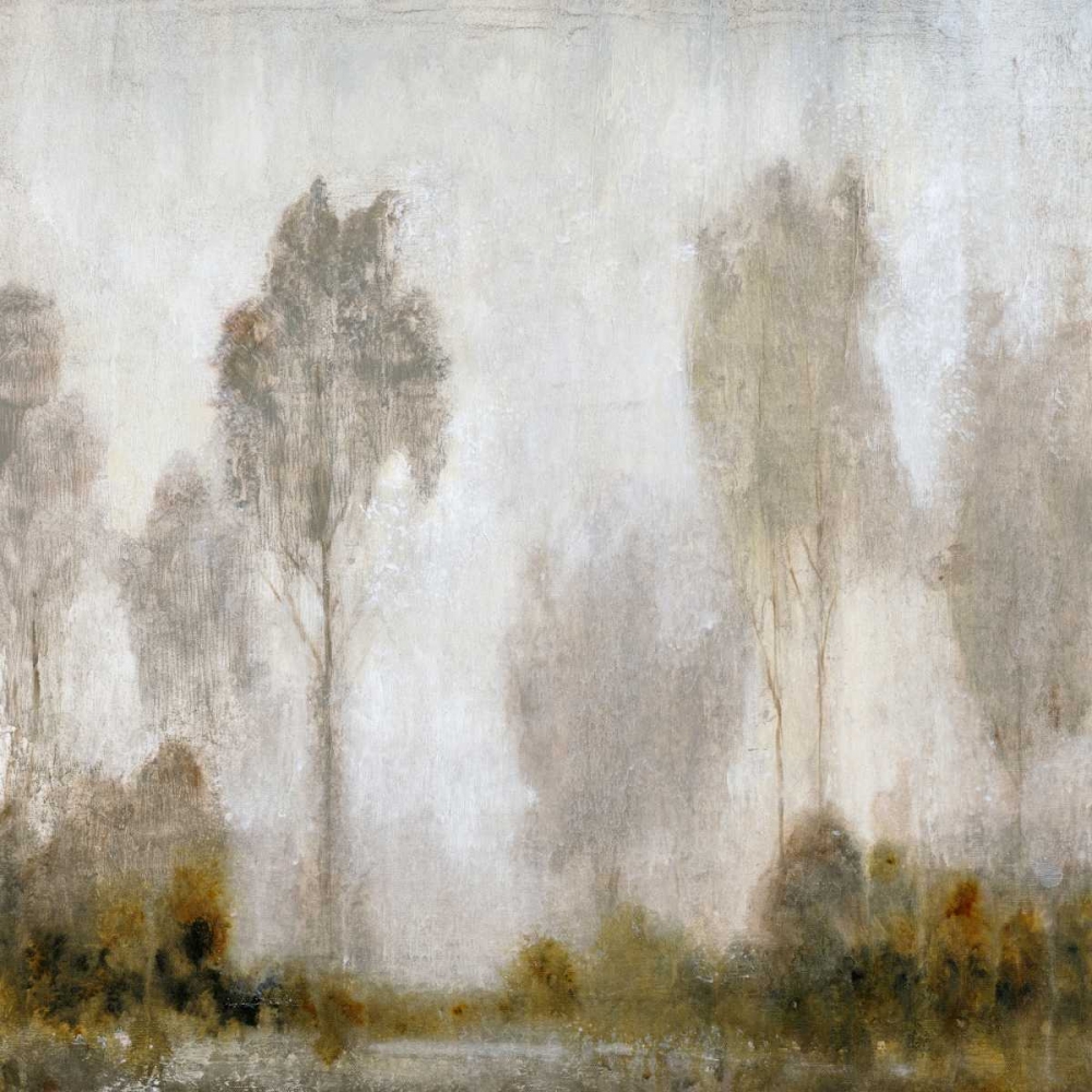 Wall Art Painting id:35132, Name: Misty Marsh I, Artist: OToole, Tim