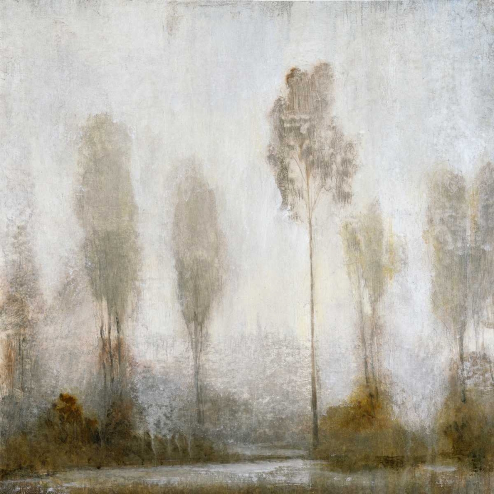 Wall Art Painting id:35133, Name: Misty Marsh II, Artist: OToole, Tim