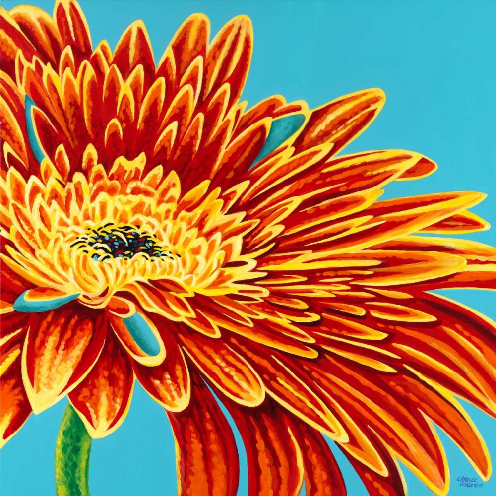 Wall Art Painting id:42371, Name: Color Bursts I, Artist: Vitaletti, Carolee