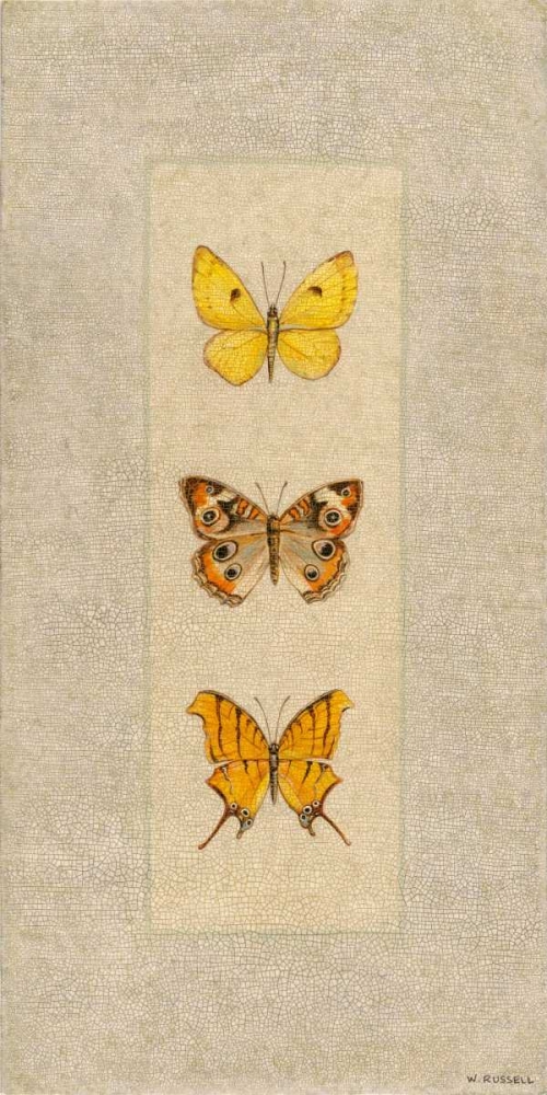 Wall Art Painting id:100350, Name: Butterfly Trio I, Artist: Russell, Wendy