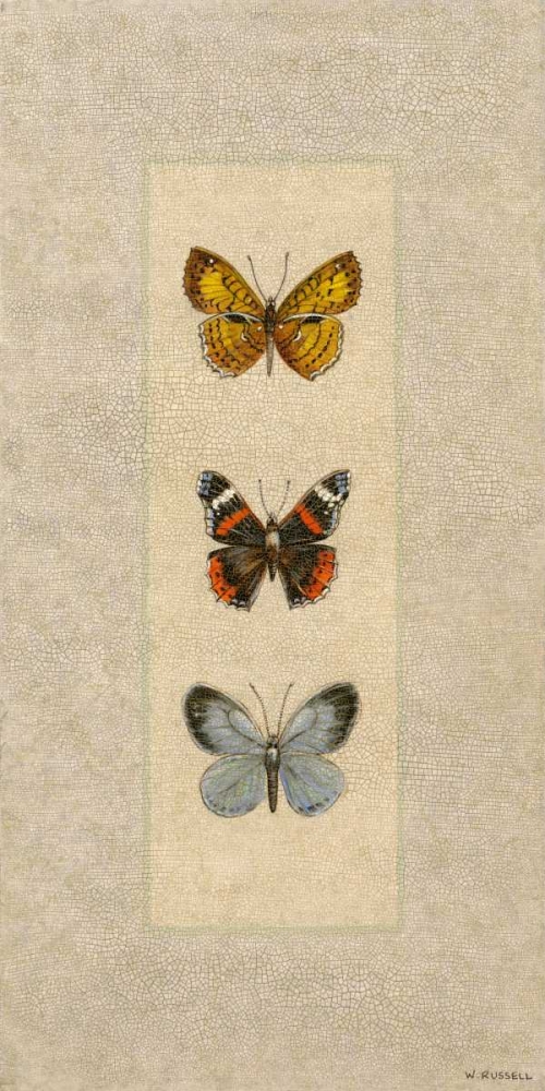 Wall Art Painting id:100351, Name: Butterfly Trio II, Artist: Russell, Wendy
