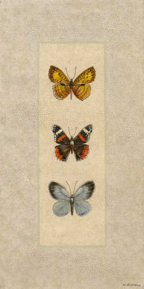 Art Print: Butterfly Trio II