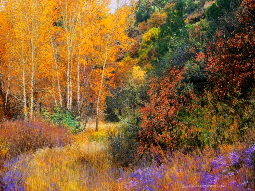 Wall Art Painting id:104418, Name: Lost Canyon Larkspurs I, Artist: Vest, Chris