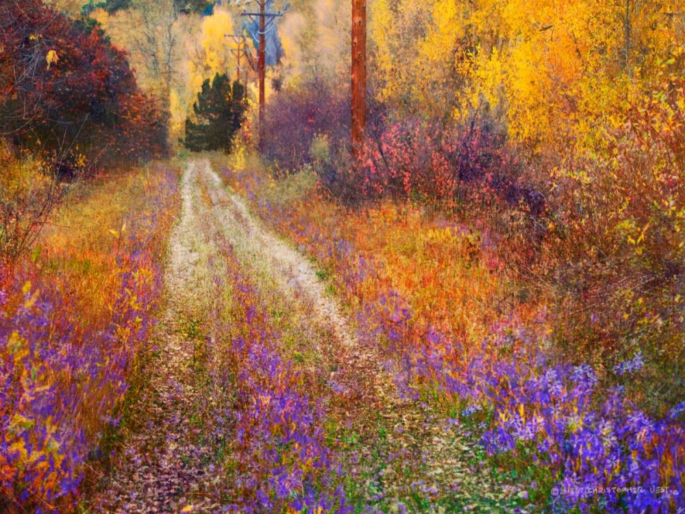 Wall Art Painting id:104419, Name: Lost Canyon Larkspurs II, Artist: Vest, Chris