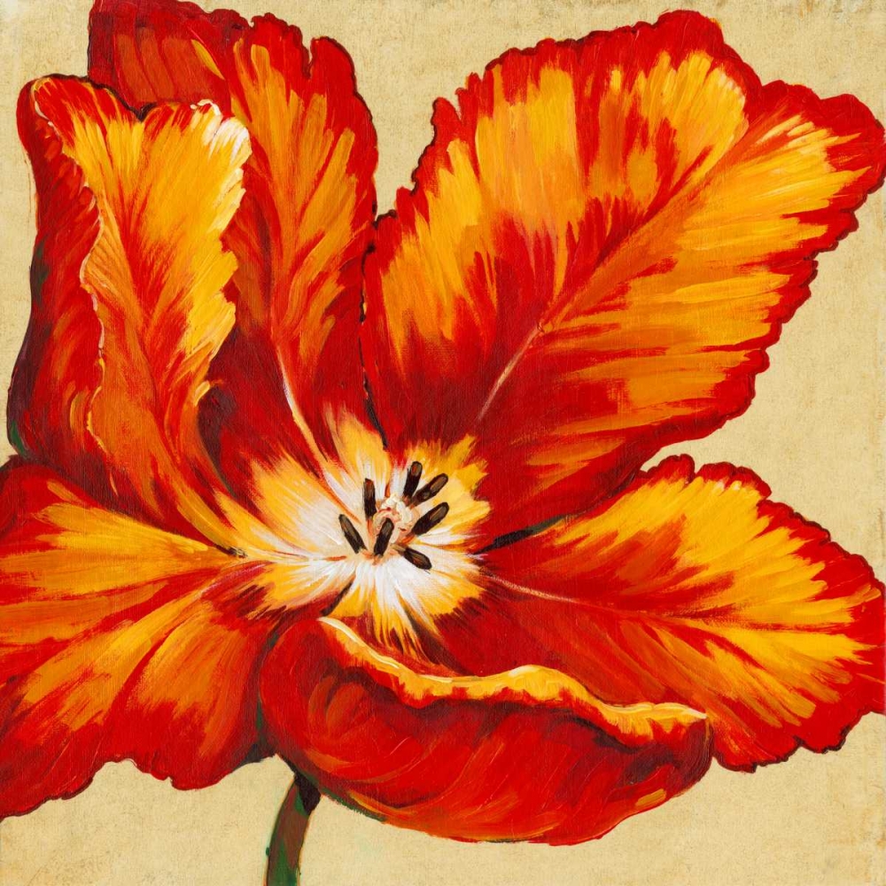 Wall art: Parrot Tulip I, by OToole, Tim