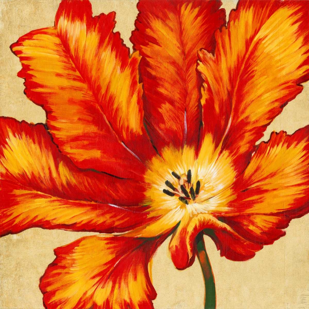 Wall Art Painting id:42376, Name: Parrot Tulip II, Artist: OToole, Tim