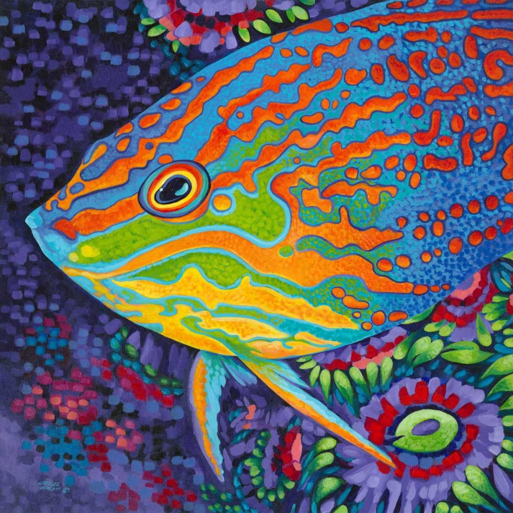 Wall Art Painting id:49805, Name: Brilliant Tropical Fish I, Artist: Vitaletti, Carolee