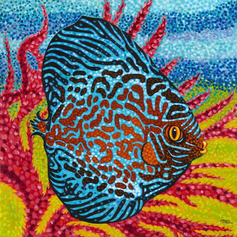 Wall Art Painting id:49806, Name: Brilliant Tropical Fish II, Artist: Vitaletti, Carolee