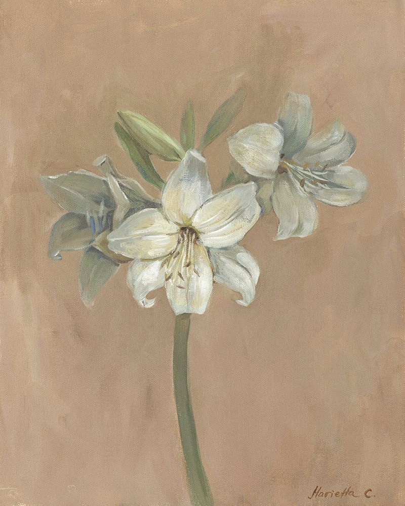 Wall Art Painting id:210725, Name: Blooms and Stems IV, Artist: Cohen, Marietta