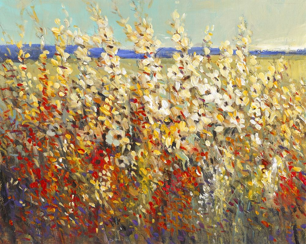 Wall art: Field of Spring Flowers II, by OToole, Tim