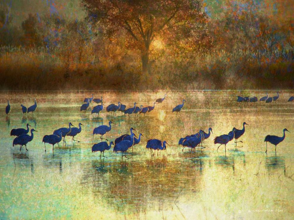 Art Print: Cranes in Mist II