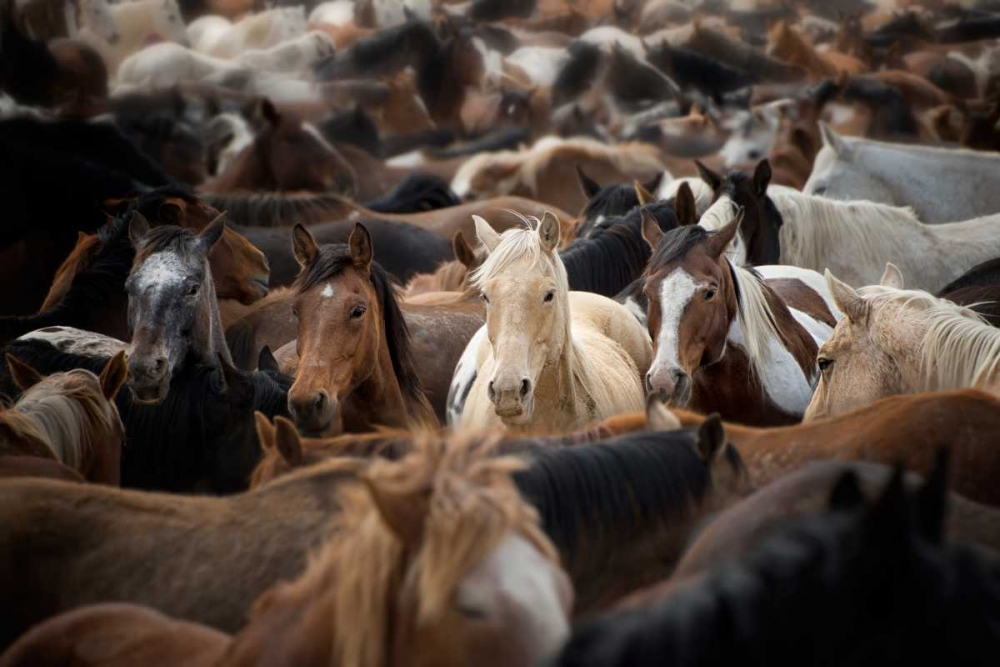 Wall Art Painting id:50177, Name: Meeting Place, Artist: PHBurchett