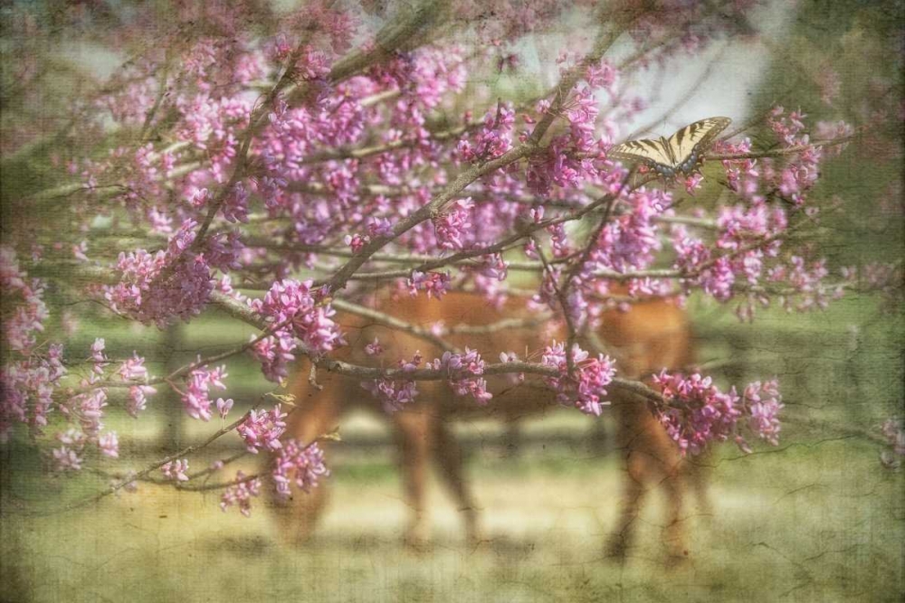 Wall Art Painting id:50181, Name: Spring has Sprung, Artist: PHBurchett