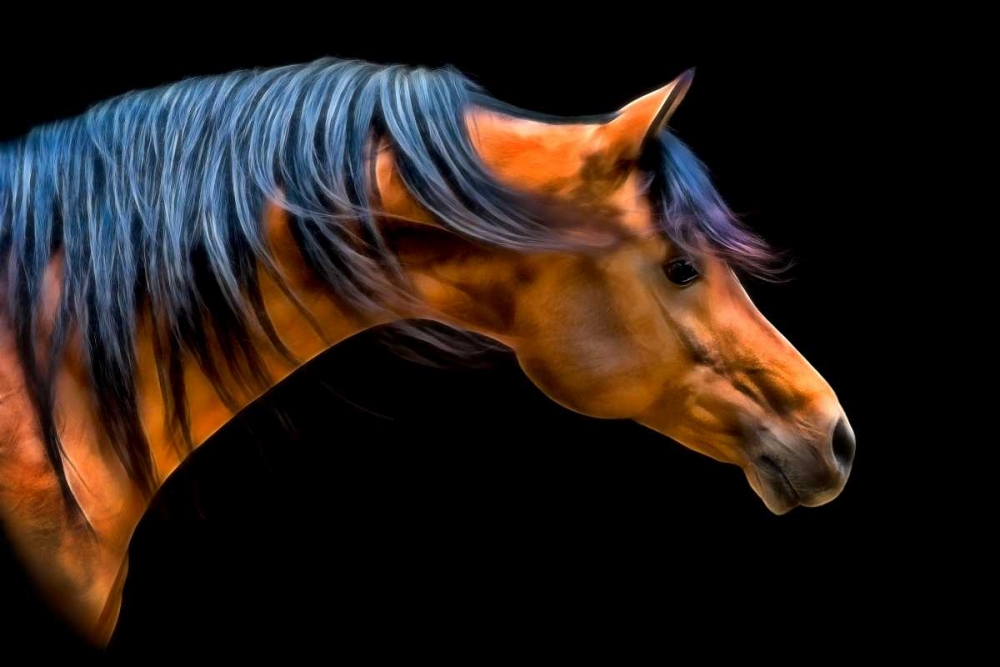 Wall Art Painting id:50183, Name: Wind Swept, Artist: PHBurchett