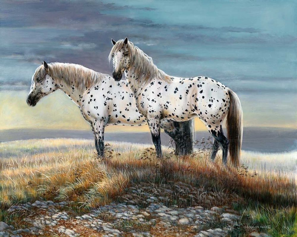 Wall Art Painting id:38441, Name: Appaloosa Sundown, Artist: Mock, Carolyn