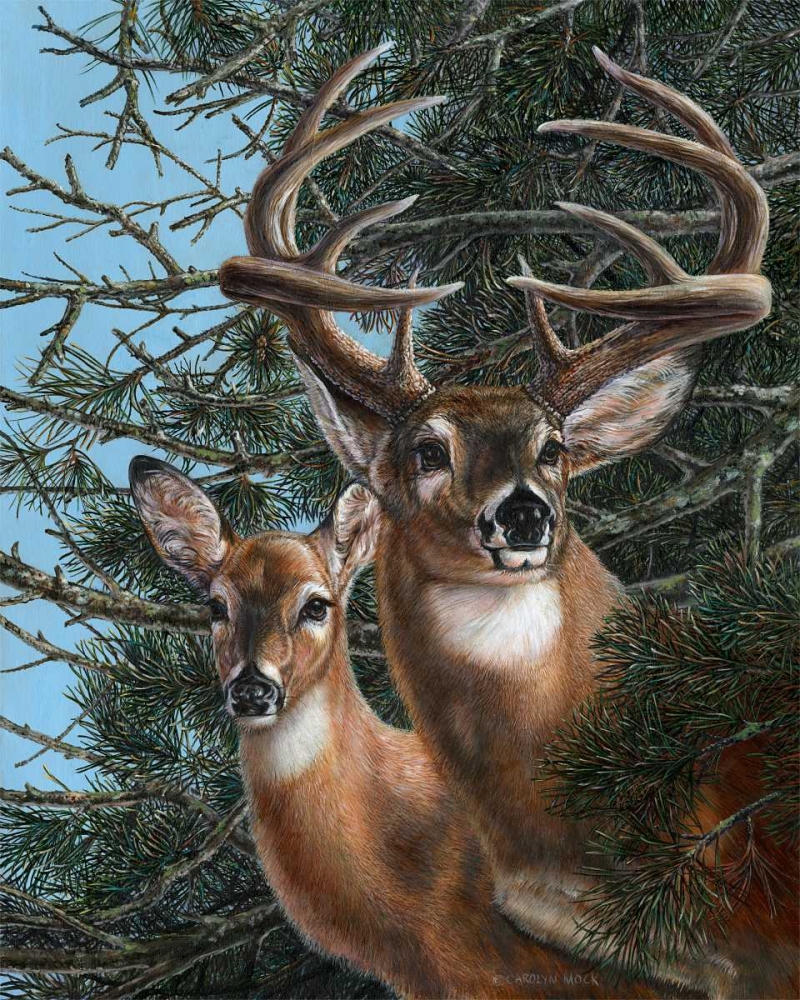 Wall Art Painting id:38446, Name: Edge of the Pines, Artist: Mock, Carolyn