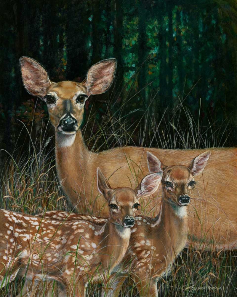 Wall Art Painting id:38447, Name: On Alert, Artist: Mock, Carolyn