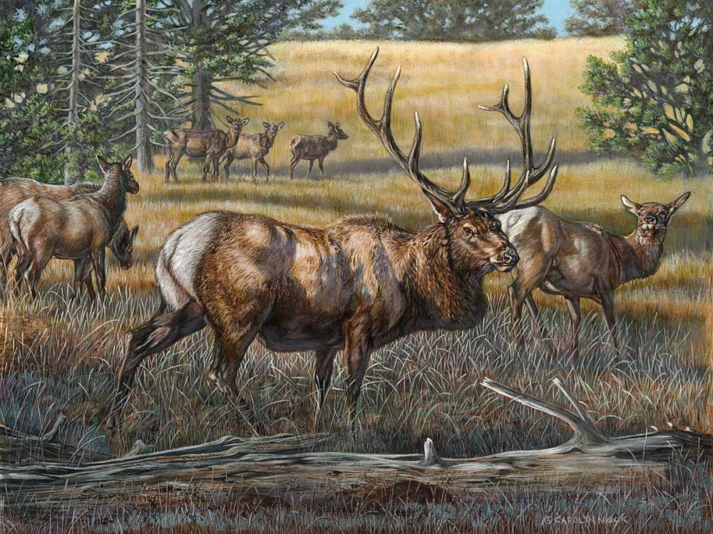 Wall Art Painting id:38448, Name: His Majesty, Artist: Mock, Carolyn