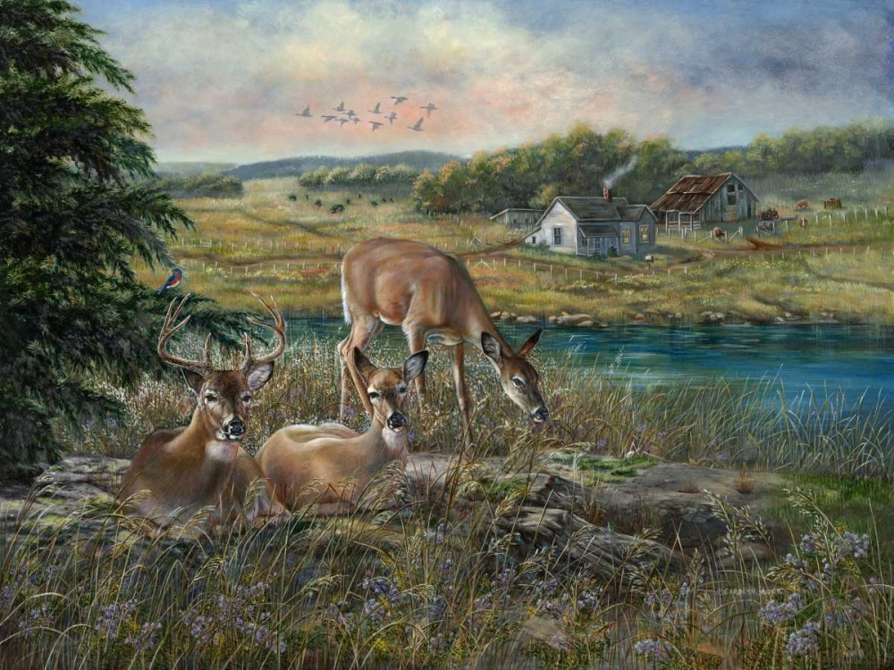 Wall Art Painting id:38449, Name: Evening Shadows, Artist: Mock, Carolyn