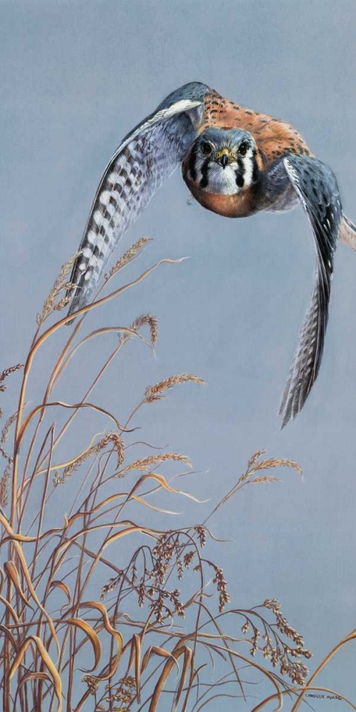 Wall Art Painting id:38454, Name: Prairie Lighting, Artist: Mock, Carolyn