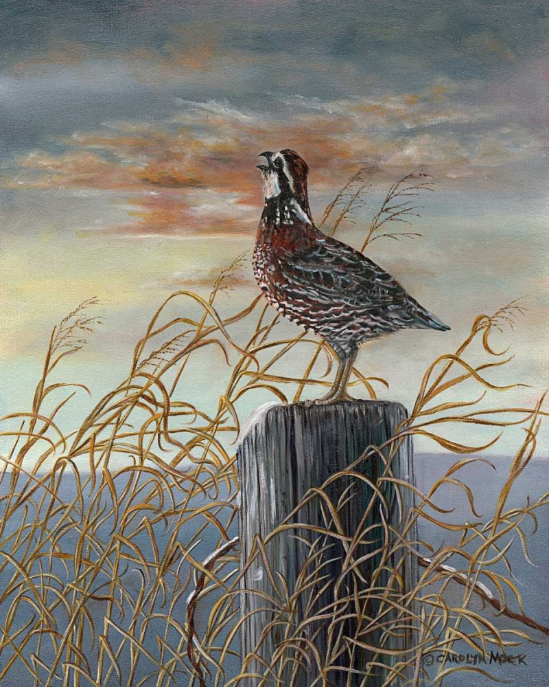 Wall Art Painting id:38456, Name: Quail on a Post, Artist: Mock, Carolyn