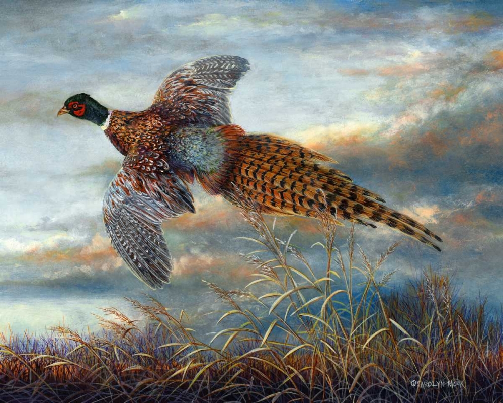 Wall Art Painting id:38457, Name: Taking Flight, Artist: Mock, Carolyn