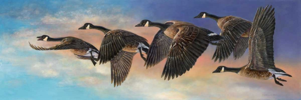 Wall Art Painting id:38458, Name: Ascent, Artist: Mock, Carolyn