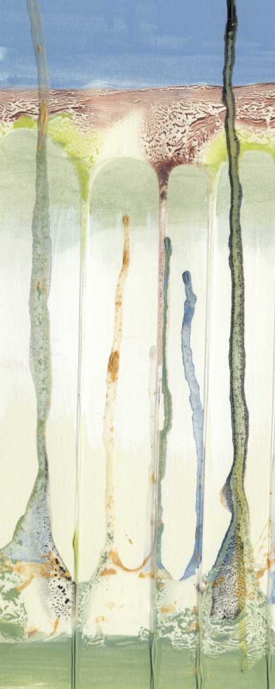 Wall Art Painting id:35409, Name: Tributary II, Artist: Ludwig, Alicia