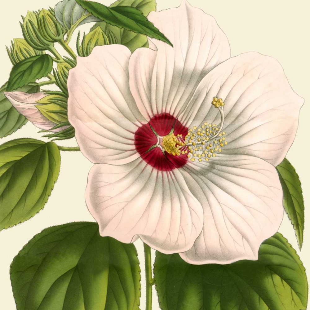 Art Print: Tropical Vision I