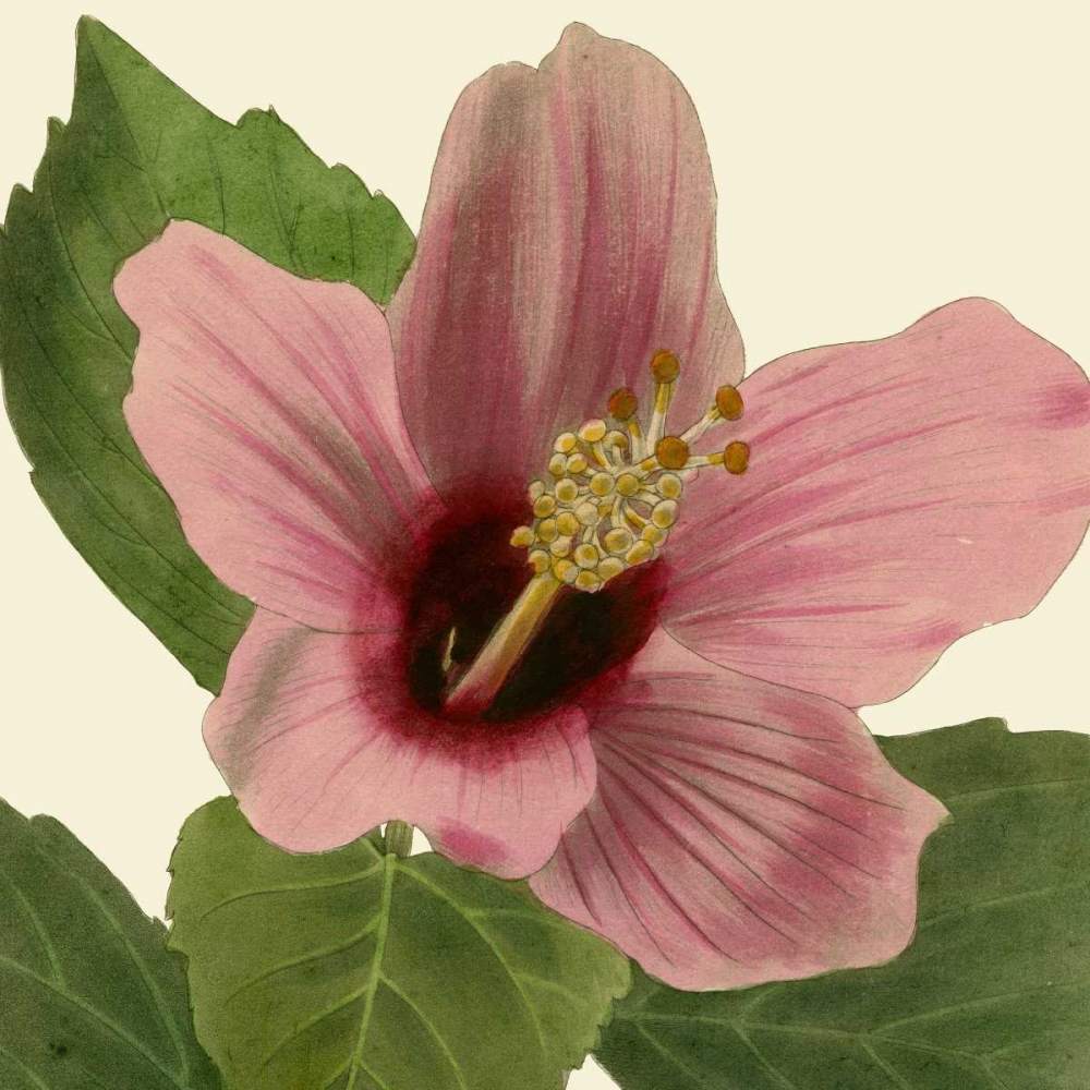 Art Print: Tropical Vision II