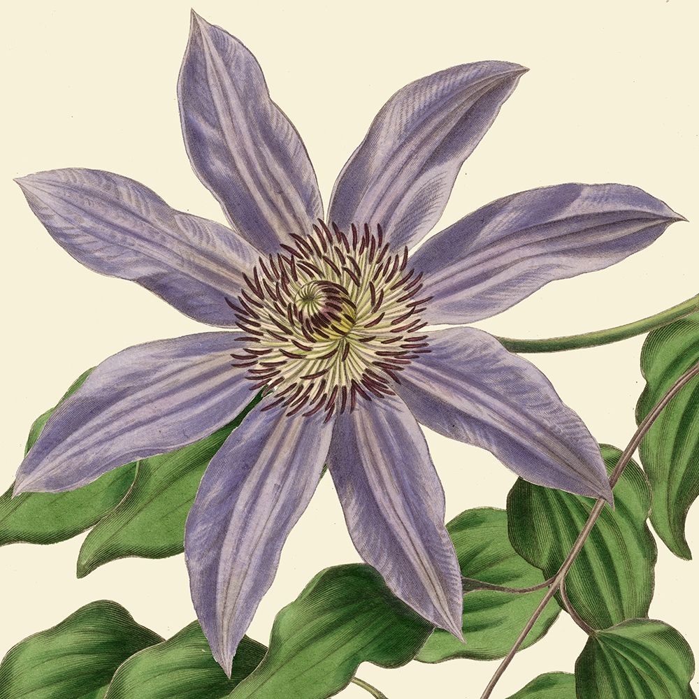 Wall art: Tropical Vision III, by Vision Studio