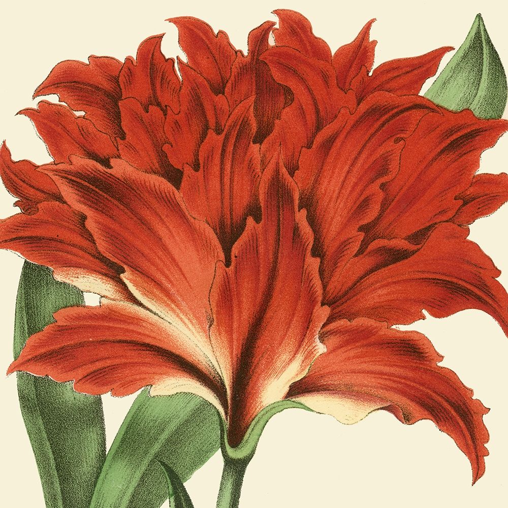 Wall art: Tropical Vision V, by Vision Studio